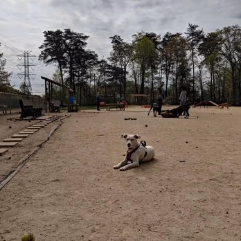 K-9 Gunner Memorial Dog Park